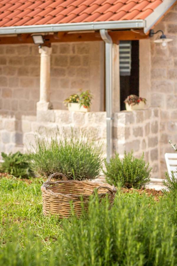 Апартаменты Olive Garden Стон Экстерьер фото