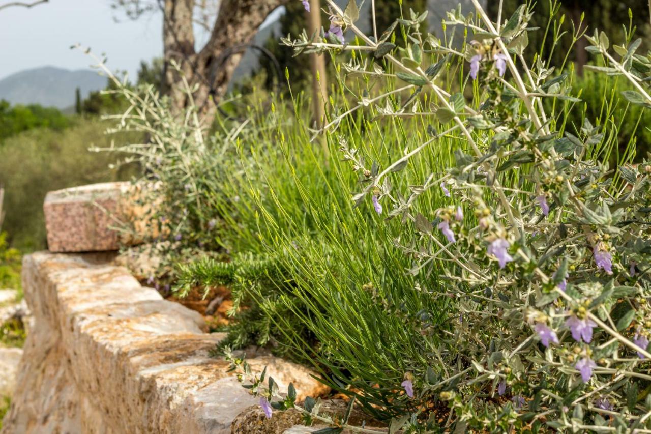 Апартаменты Olive Garden Стон Экстерьер фото